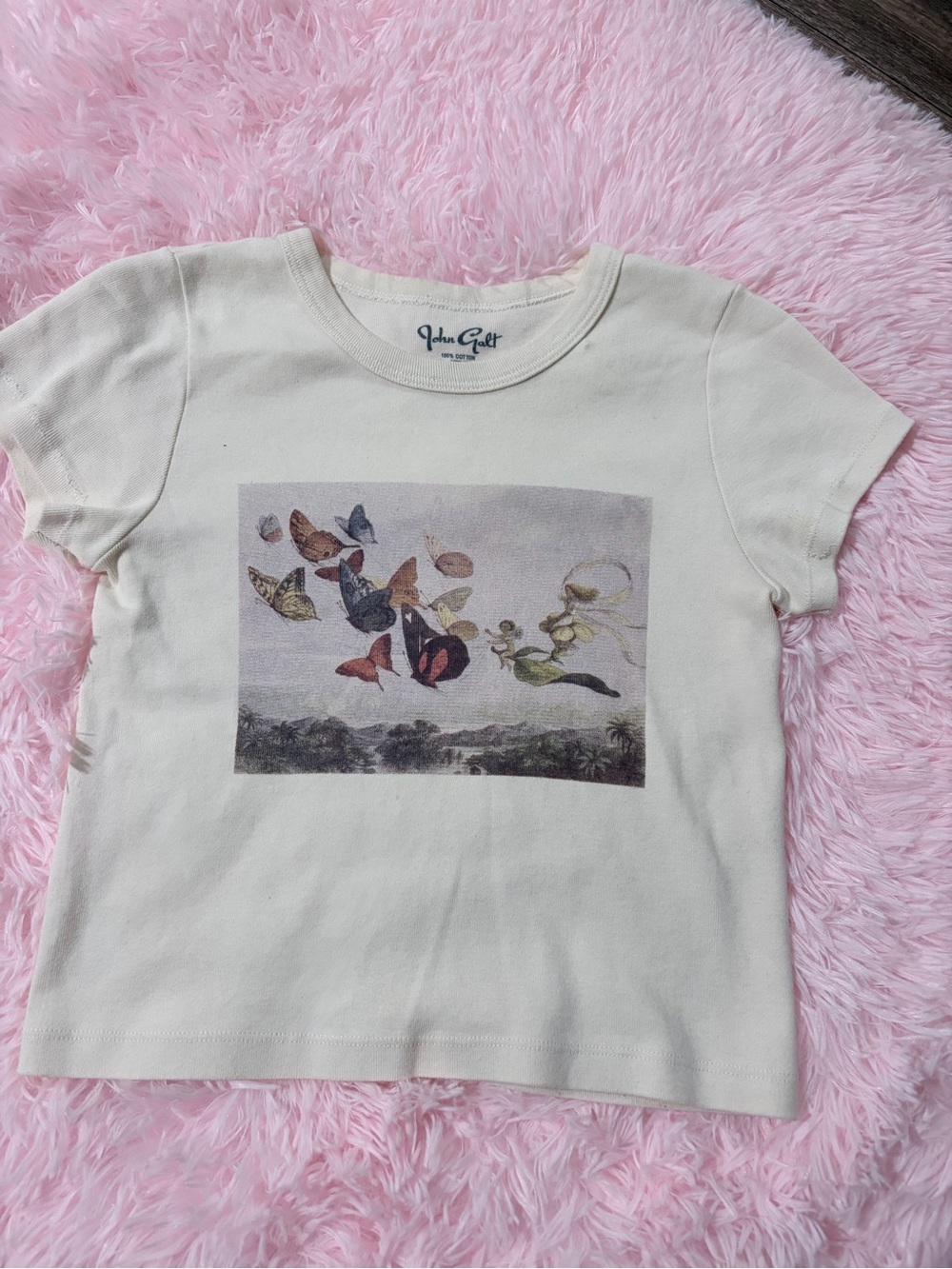 Brandy Melville Cream Butterfly & Nature Graphic Tee
